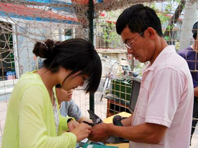 �����ֲ���Ԫ������Ԫ���������鳲(ͼ)