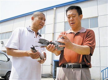 ������������(ͼ)