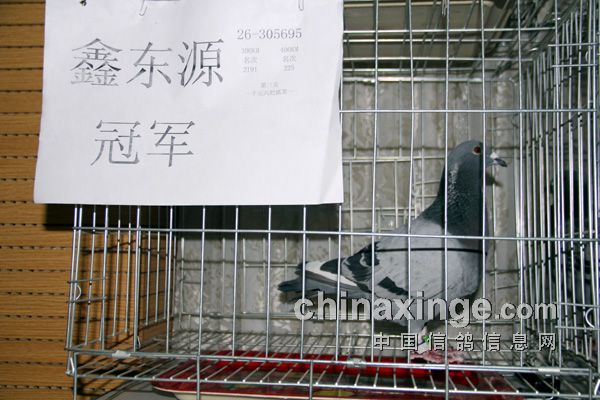 ǧ��������ĺ�ս��(ͼ)