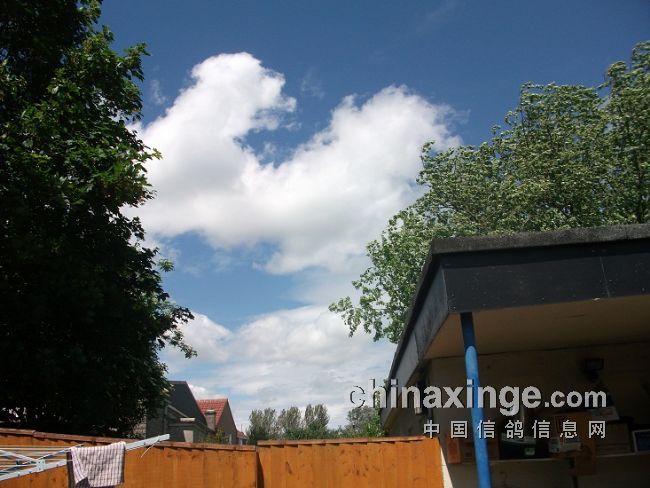 ����Ӣ������������(ͼ)