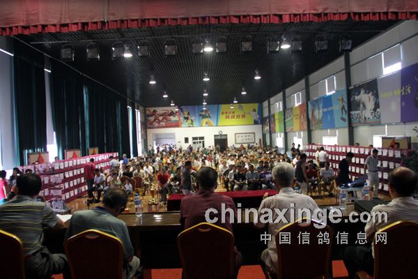 ������ƽ����佱��������(ͼ)