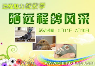 远程魅力绽放季——晒出你的远程鸽！
