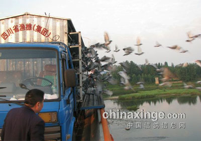 �Ĵ����Թ���������طŷ�(ͼ)