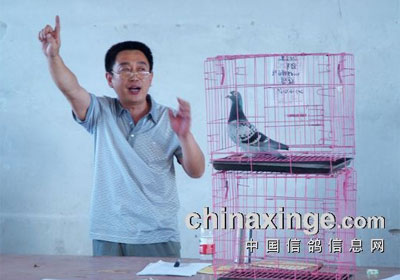 �ӱ������������������Ứ��(ͼ)