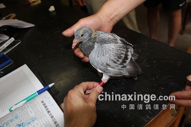 ������Э�����˱�����һ�����ͼ��