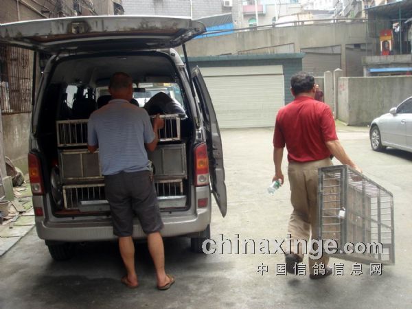 �����������Ƕ�����(ͼ)