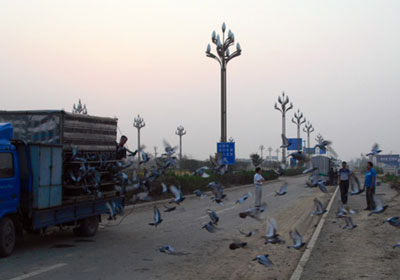 �㽭ʡ��������������ؾ�������(ͼ)