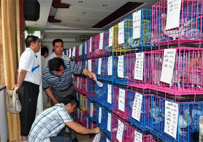 ���Ź��ﴺ���������ֳ�����(ͼ)