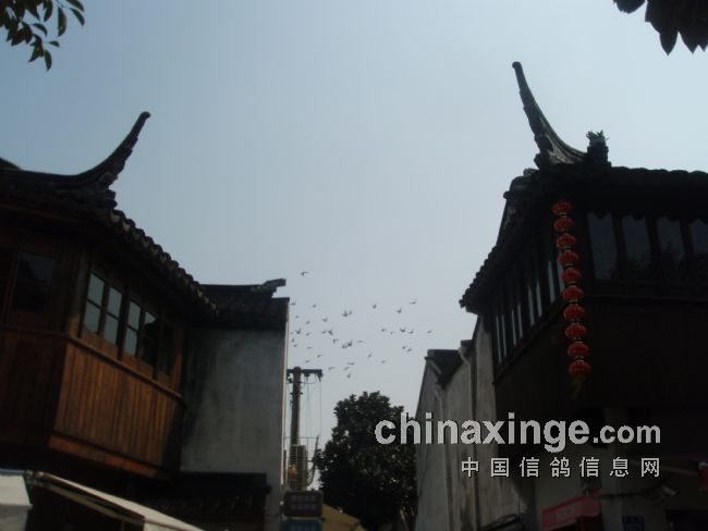 �������ݸ���ˮ��(ͼ)