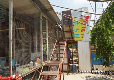 �ݷ��������������(ͼ)