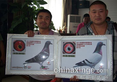 �������Ÿ��˶����ٷ�չ(ͼ)