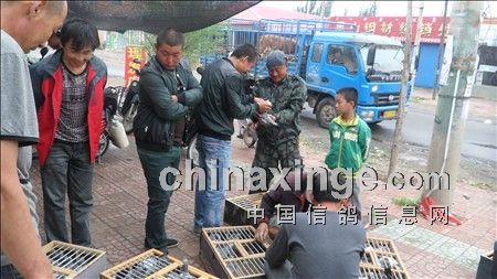 ͨ���������ֻ�ͳһ��Ѵ�����(ͼ)