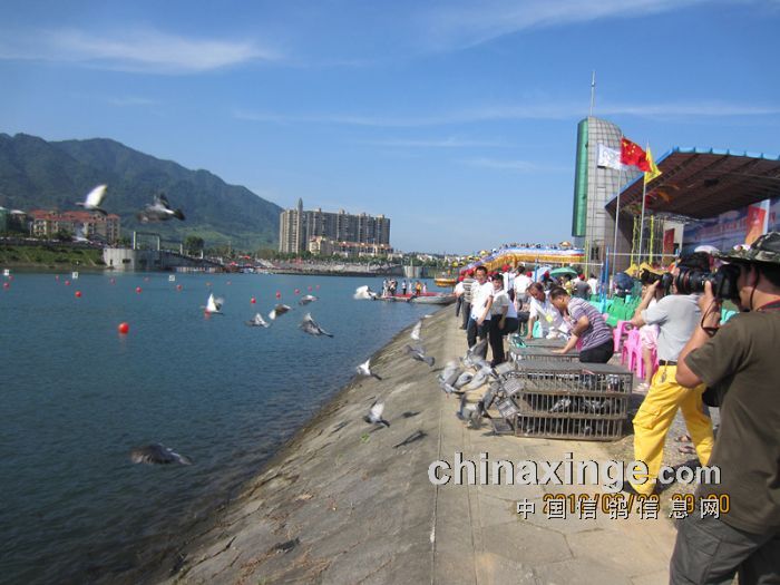 ���϶���������������˾�Ųʸ�(ͼ)