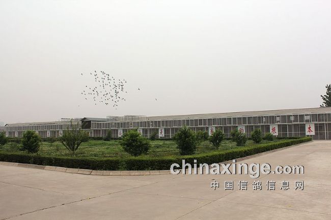 ������Э�Ӳ����������湫��(ͼ)