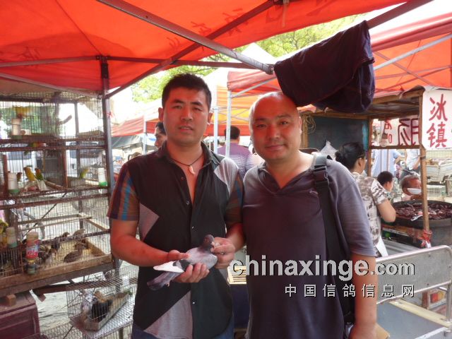 �������ӿ�ֻ���߳�(ͼ)