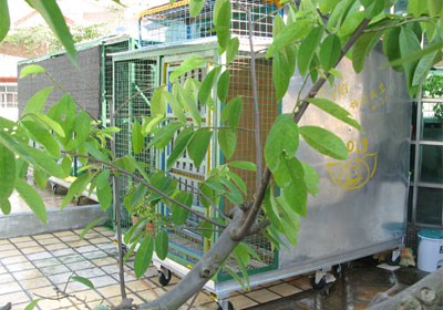 Ư��С����(ͼ)