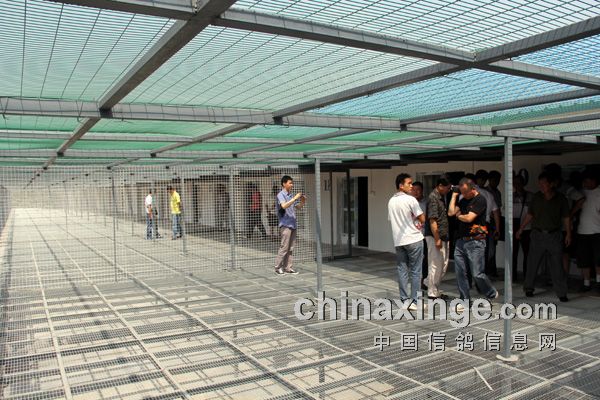 ������Ը��ͻ�Ƶ��и�Э�涨��ͼ��