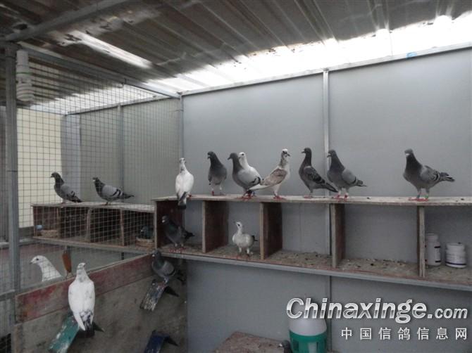 �����ƴ��90��С����(ͼ)