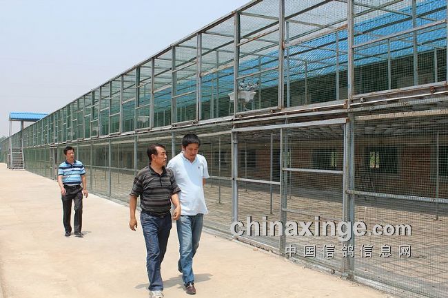 ������Э�쵼�Ӳ����ҹ���(ͼ)