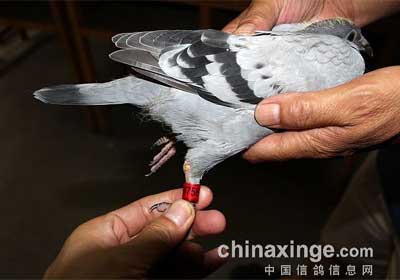 ������Э���˱���һ�β���(ͼ)