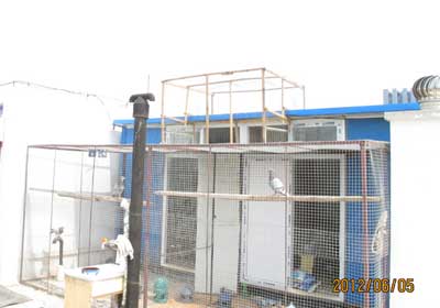 ¶̨�¸���(ͼ)