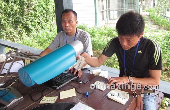 �ٸ�԰�����˱�����������ֳ�(ͼƬ)