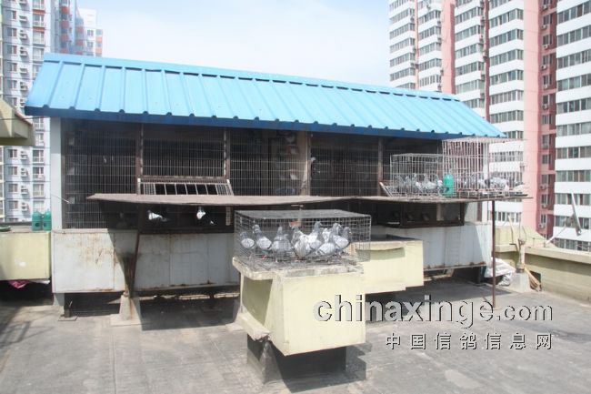 �����������Ҹ�������(ͼƬ)