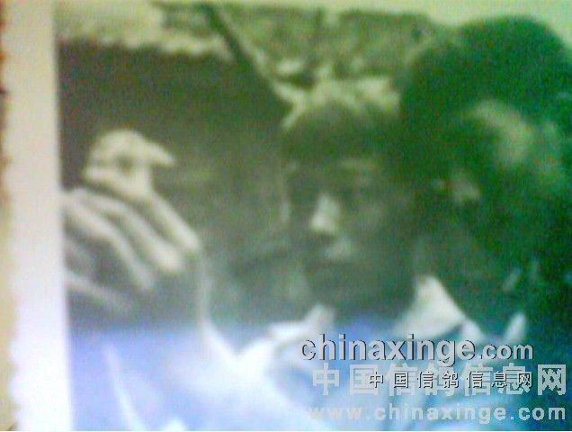 ���ֽ�������(��ʷƪ)