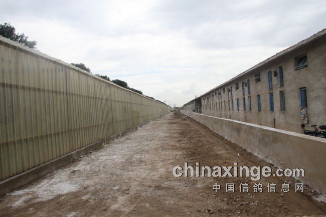 �������¸���(ͼ)