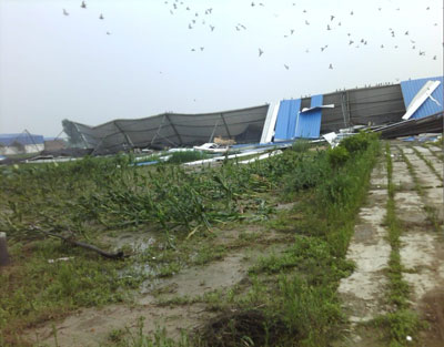 ���Ϯ����(ͼ)