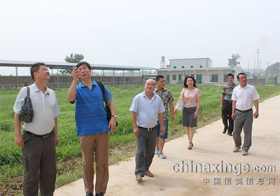 ���������ܻ��쵼�Ӳ����ҹ���(ͼ)