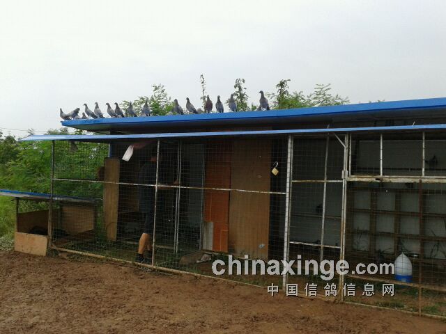 һ��һ������� ���ӳ���סɽ��(ͼ)