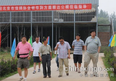 ������Э��鷽Բ˳��˳����(ͼ)