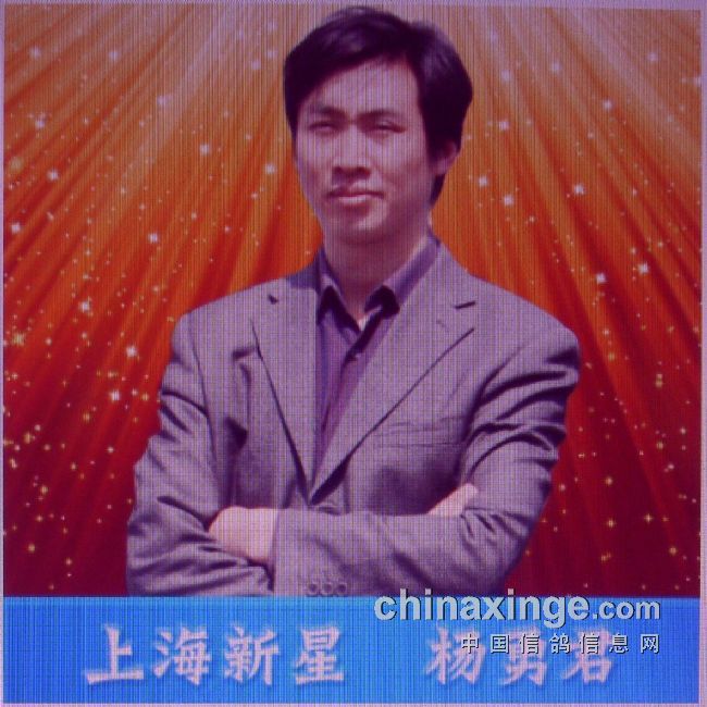 �����������Ϻ�����(ͼ)