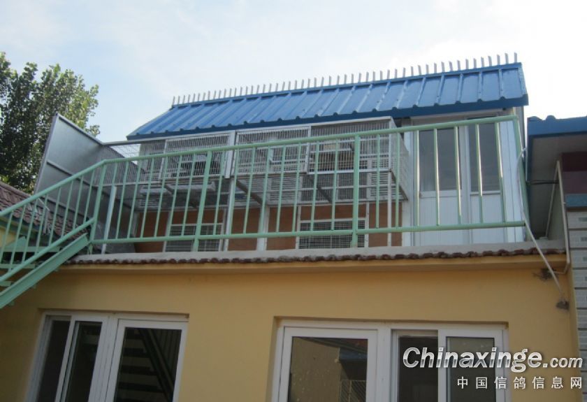 �Լ�������Ƶĸ���(ͼ)