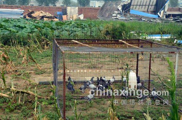 ��ȥ�������������Ϊ���� ���𲻱�(ͼ)