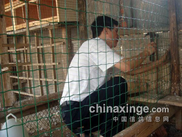 ������ˮ�Ľ�����(ͼ)