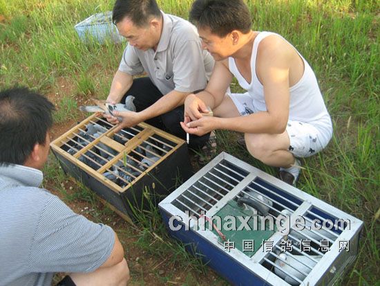 ����ѵ���