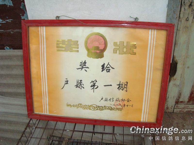 ���������Ÿ������(ͼ)