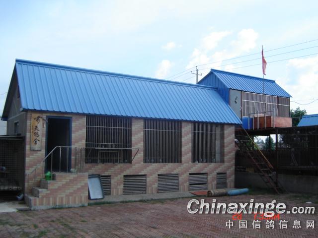 �½�������(ͼ)