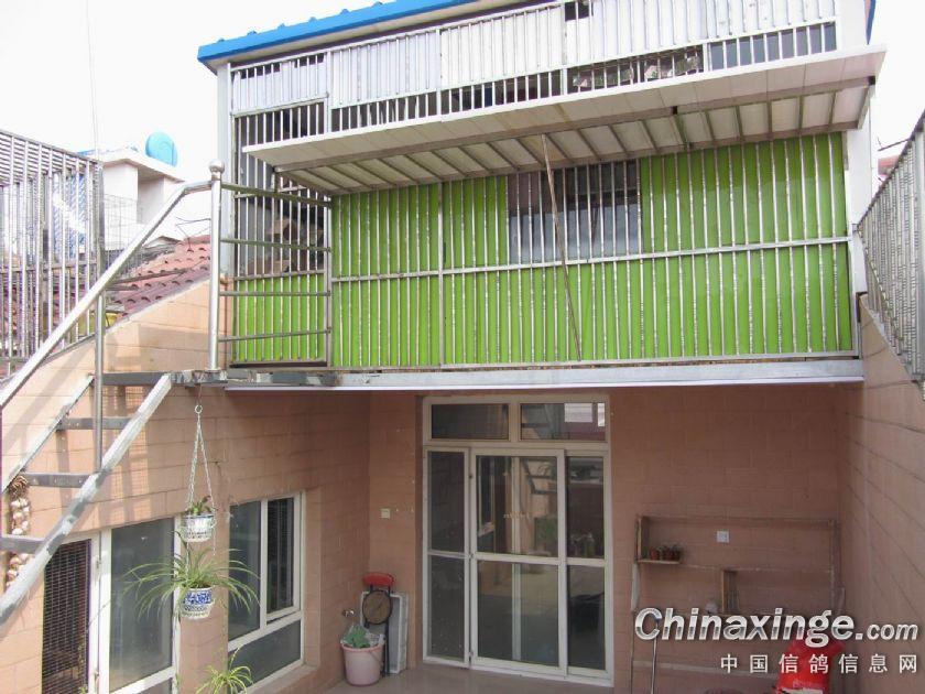 ���и����½���(ͼ)