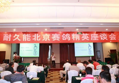 �;��������������뾫Ӣ��̸��(ͼ)