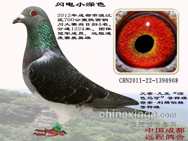 ͼ��˵�룺�����߰ٵ��չ�(֮һ)