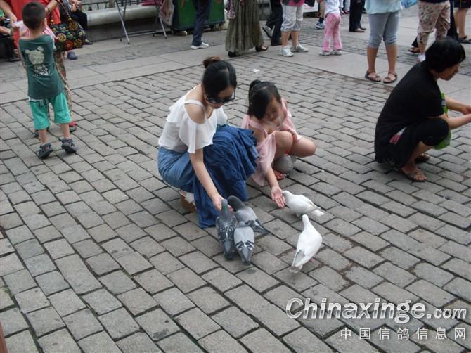 ���������ǽ��ù㳡��(ͼ)