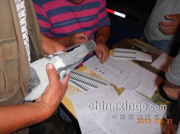 ������ɽ�＾����200���Ｏ��(ͼ)