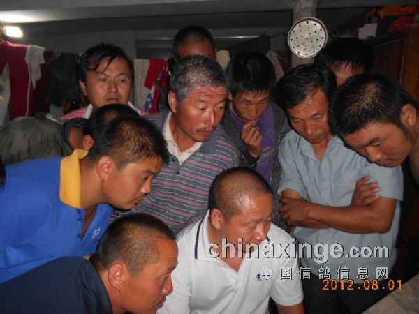 �����������죺��ɽ200�����ս���(ͼ)