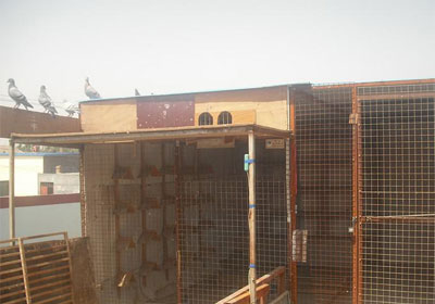 �»�Աũ�����(ͼ)