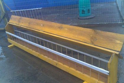 ɹɹ����ʳ��(ͼ)