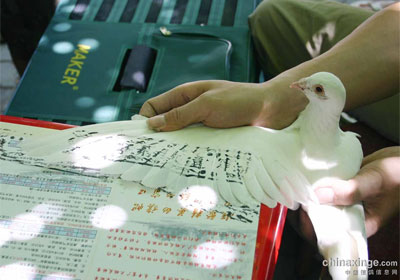 ��������200��Ԫ�رȻ�����(ͼ)