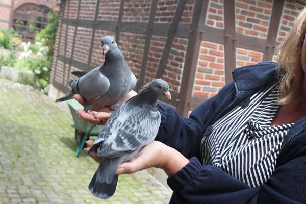 ������������������(ͼ)